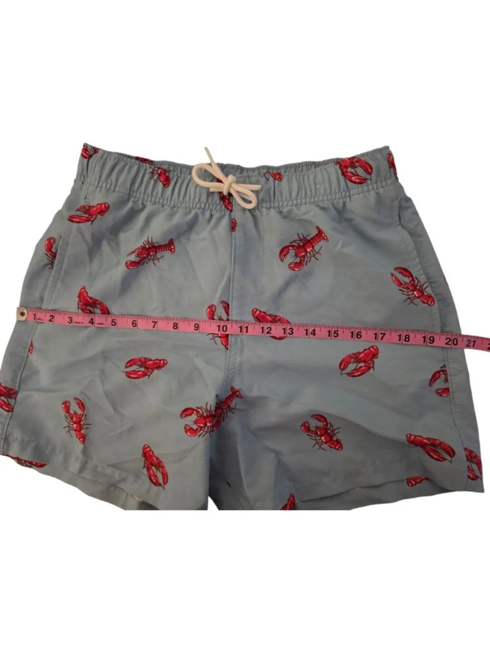 Hollister Lobster Swim Trunks Mens Small Blue Red Print Lined Drawstring Shorts - Picture 7 of 10